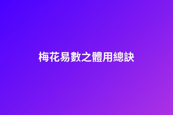 梅花易數之體用總訣