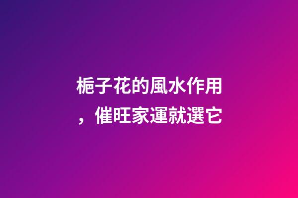 梔子花的風水作用，催旺家運就選它