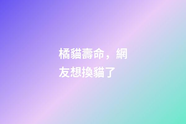 橘貓壽命，網友想換貓了-第1張-觀點-玄機派
