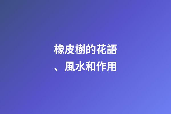 橡皮樹的花語、風水和作用