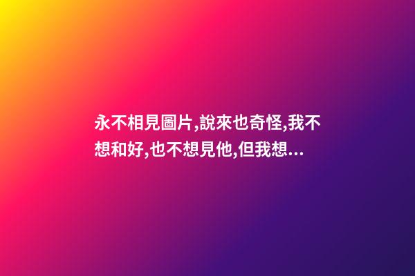 永不相見圖片,說來也奇怪,我不想和好,也不想見他,但我想他!-第1張-觀點-玄機派