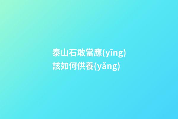 泰山石敢當應(yīng)該如何供養(yǎng)?