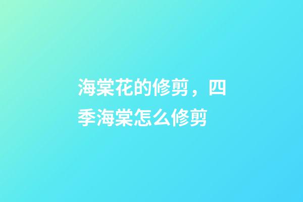 海棠花的修剪，四季海棠怎么修剪-第1張-觀點-玄機(jī)派