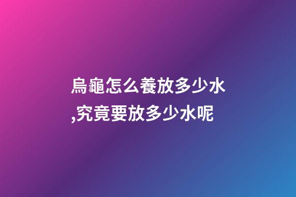烏龜怎么養放多少水,究竟要放多少水呢-第1張-觀點-玄機派