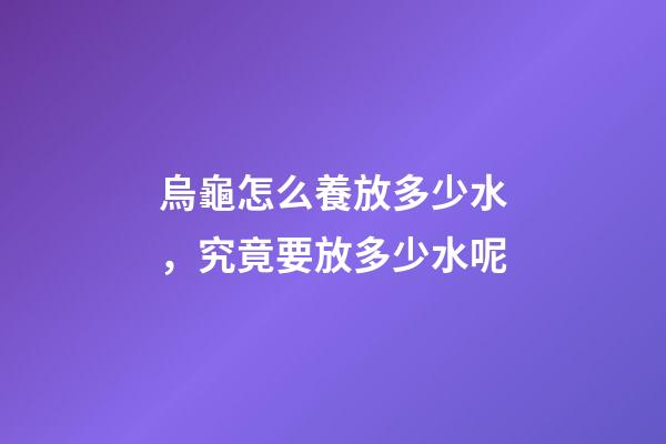 烏龜怎么養放多少水，究竟要放多少水呢-第1張-觀點-玄機派