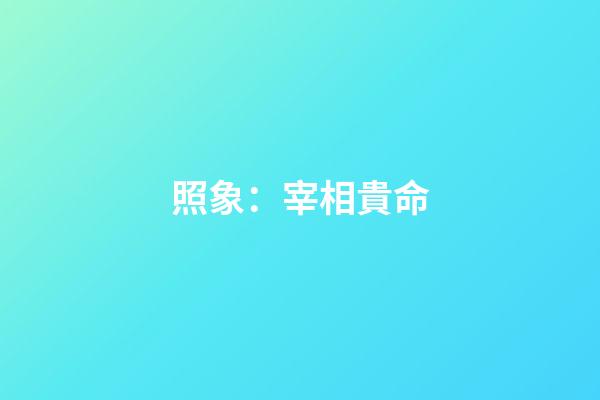 照象：宰相貴命