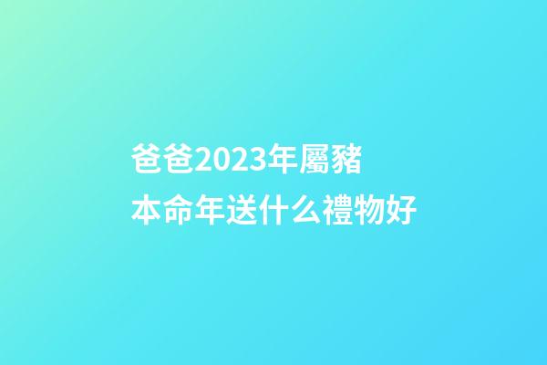 爸爸2023年屬豬本命年送什么禮物好
