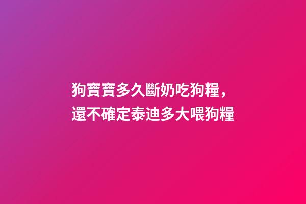 狗寶寶多久斷奶吃狗糧，還不確定泰迪多大喂狗糧-第1張-觀點(diǎn)-玄機(jī)派