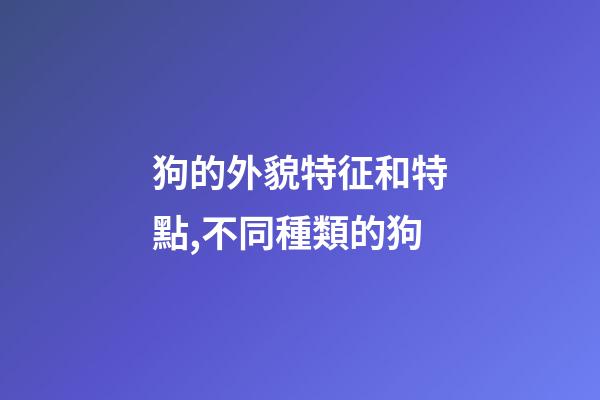 狗的外貌特征和特點,不同種類的狗-第1張-觀點-玄機派