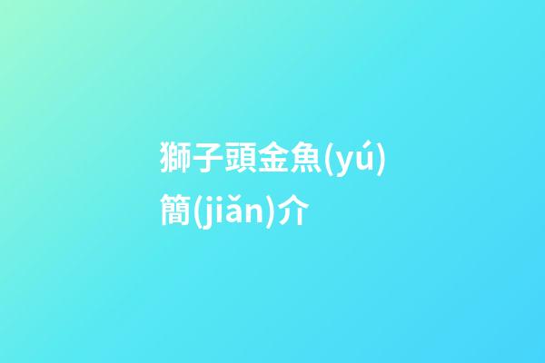 獅子頭金魚(yú)簡(jiǎn)介
