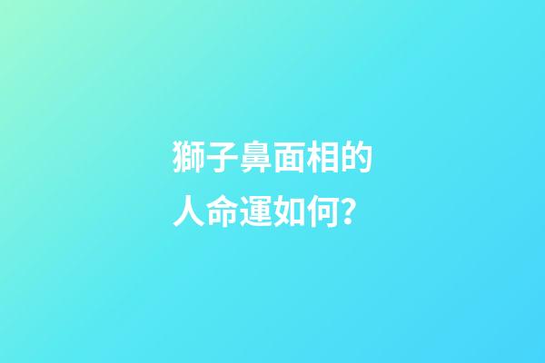 獅子鼻面相的人命運如何？