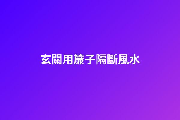 玄關用簾子隔斷風水