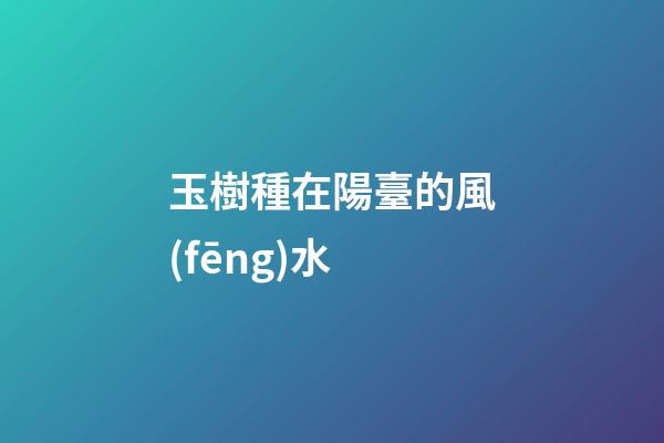 玉樹種在陽臺的風(fēng)水
