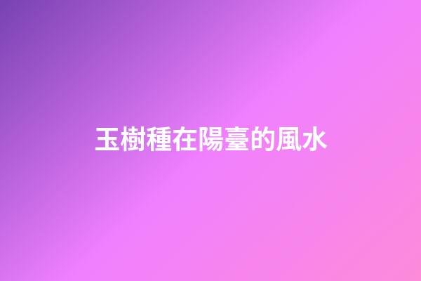 玉樹種在陽臺的風水