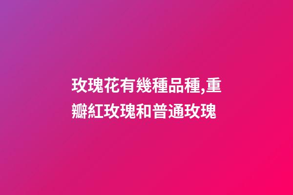 玫瑰花有幾種品種,重瓣紅玫瑰和普通玫瑰-第1張-觀點-玄機派