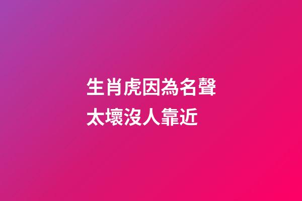 生肖虎因為名聲太壞沒人靠近
