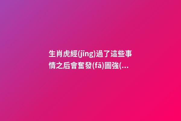 生肖虎經(jīng)過了這些事情之后會奮發(fā)圖強(qiáng)