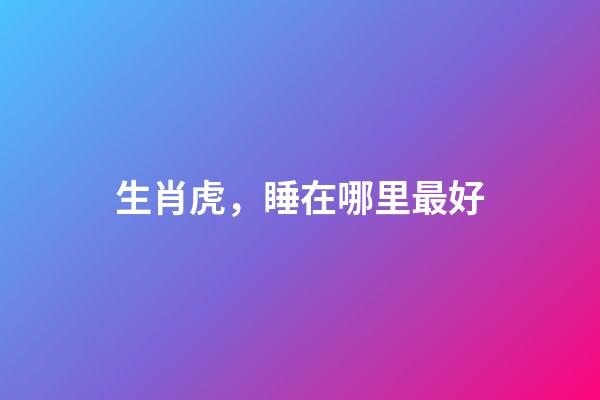 生肖虎，睡在哪里最好