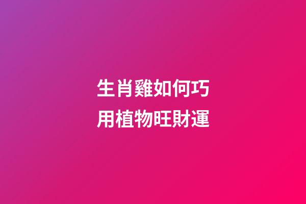 生肖雞如何巧用植物旺財運