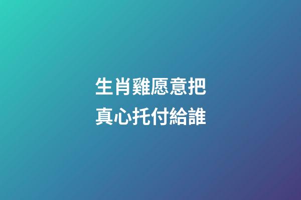 生肖雞愿意把真心托付給誰