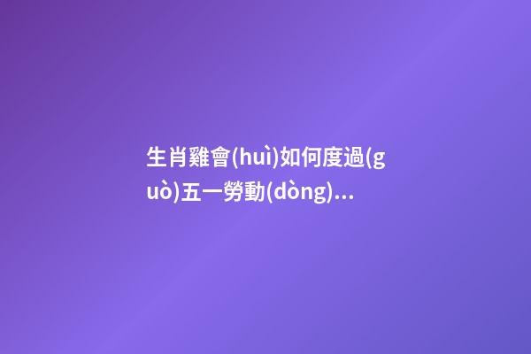 生肖雞會(huì)如何度過(guò)五一勞動(dòng)節(jié)