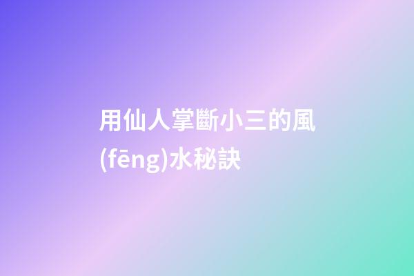 用仙人掌斷小三的風(fēng)水秘訣