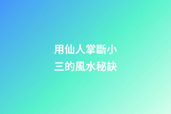 用仙人掌斷小三的風水秘訣