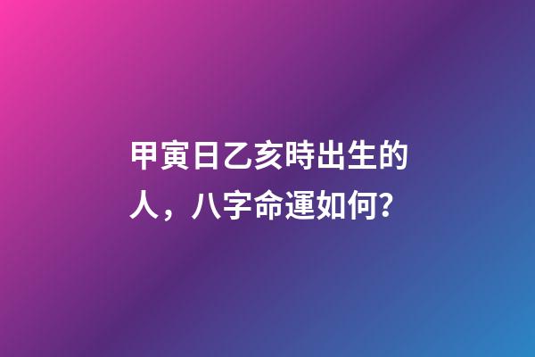 甲寅日乙亥時出生的人，八字命運如何？