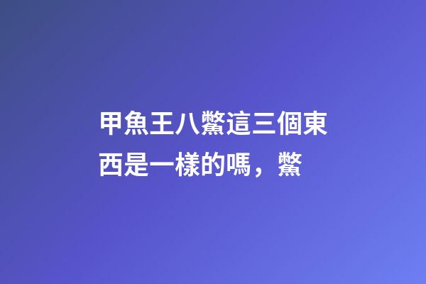 甲魚王八鱉這三個東西是一樣的嗎，鱉(拍案驚奇)-第1張-觀點-玄機派