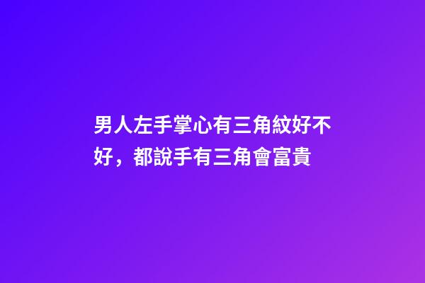 男人左手掌心有三角紋好不好，都說手有三角會富貴-第1張-觀點-玄機派