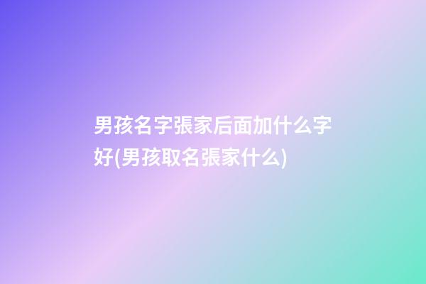 男孩名字張家后面加什么字好(男孩取名張家什么)