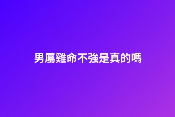 男屬雞命不強是真的嗎