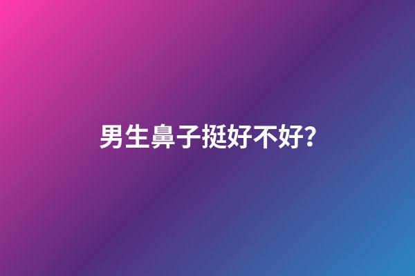 男生鼻子挺好不好？