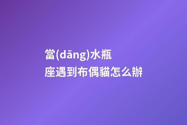 當(dāng)水瓶座遇到布偶貓怎么辦