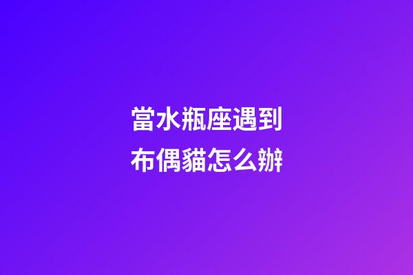 當水瓶座遇到布偶貓怎么辦