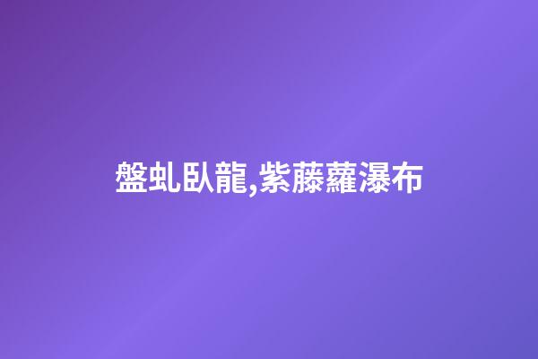 盤虬臥龍,紫藤蘿瀑布-第1張-觀點(diǎn)-玄機(jī)派