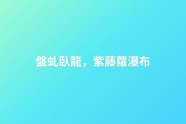 盤虬臥龍，紫藤蘿瀑布-第1張-觀點(diǎn)-玄機(jī)派