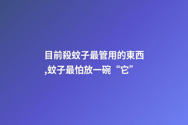 目前殺蚊子最管用的東西,蚊子最怕放一碗“它”-第1張-觀點-玄機派