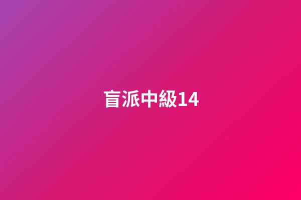 盲派中級14