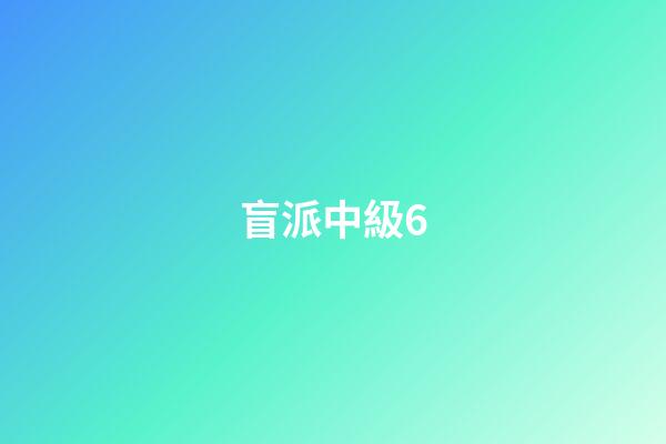 盲派中級6