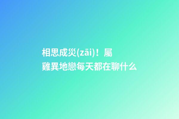相思成災(zāi)！屬雞異地戀每天都在聊什么