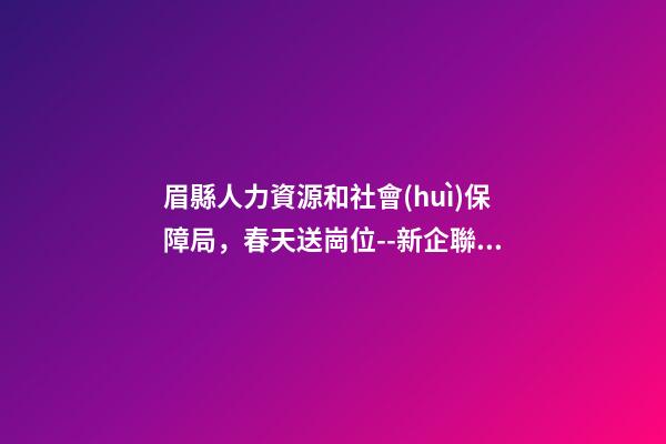 眉縣人力資源和社會(huì)保障局，春天送崗位--新企聯(lián)舉辦新春招聘會(huì)-第1張-觀點(diǎn)-玄機(jī)派