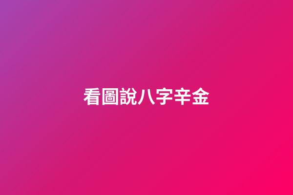 看圖說八字辛金