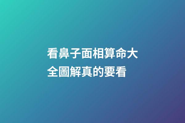 看鼻子面相算命大全圖解真的要看
