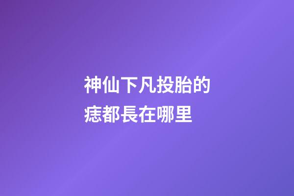 神仙下凡投胎的痣都長在哪里