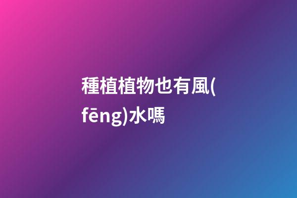 種植植物也有風(fēng)水嗎