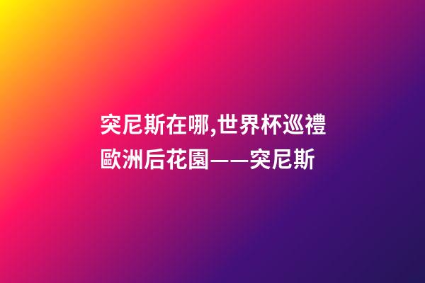 突尼斯在哪,世界杯巡禮歐洲后花園——突尼斯-第1張-觀點-玄機派