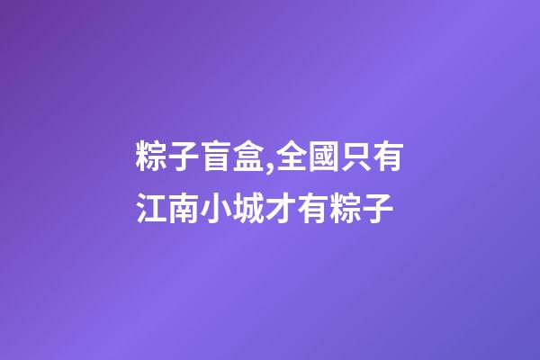 粽子盲盒,全國只有江南小城才有粽子-第1張-觀點(diǎn)-玄機(jī)派