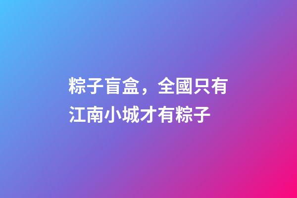 粽子盲盒，全國只有江南小城才有粽子-第1張-觀點(diǎn)-玄機(jī)派
