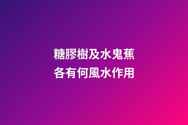 糖膠樹及水鬼蕉各有何風水作用?